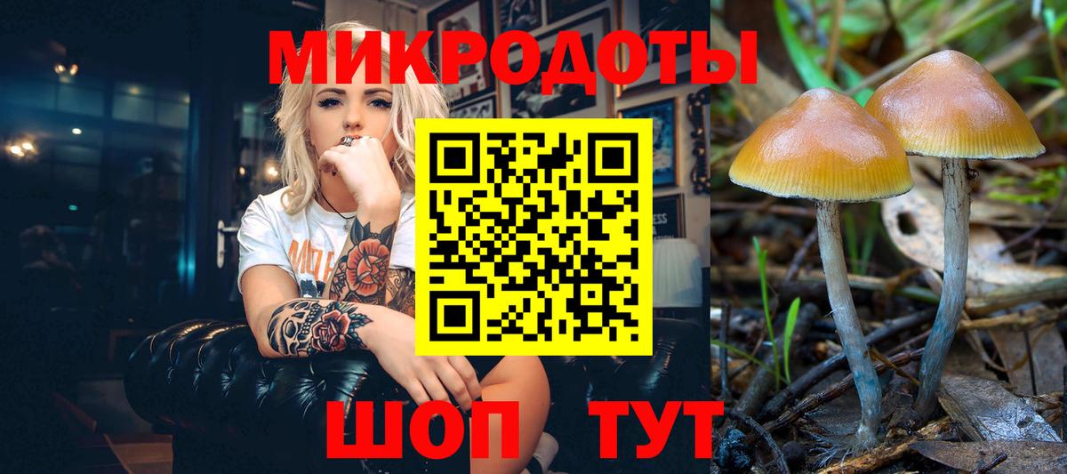 Псилоцибиновые грибы GOLDEN TEACHER Нефтекамск